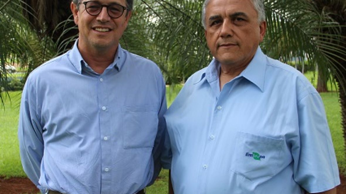 Embrapa Milho e Sorgo confirma participação na ExpoZebu Dinâmica