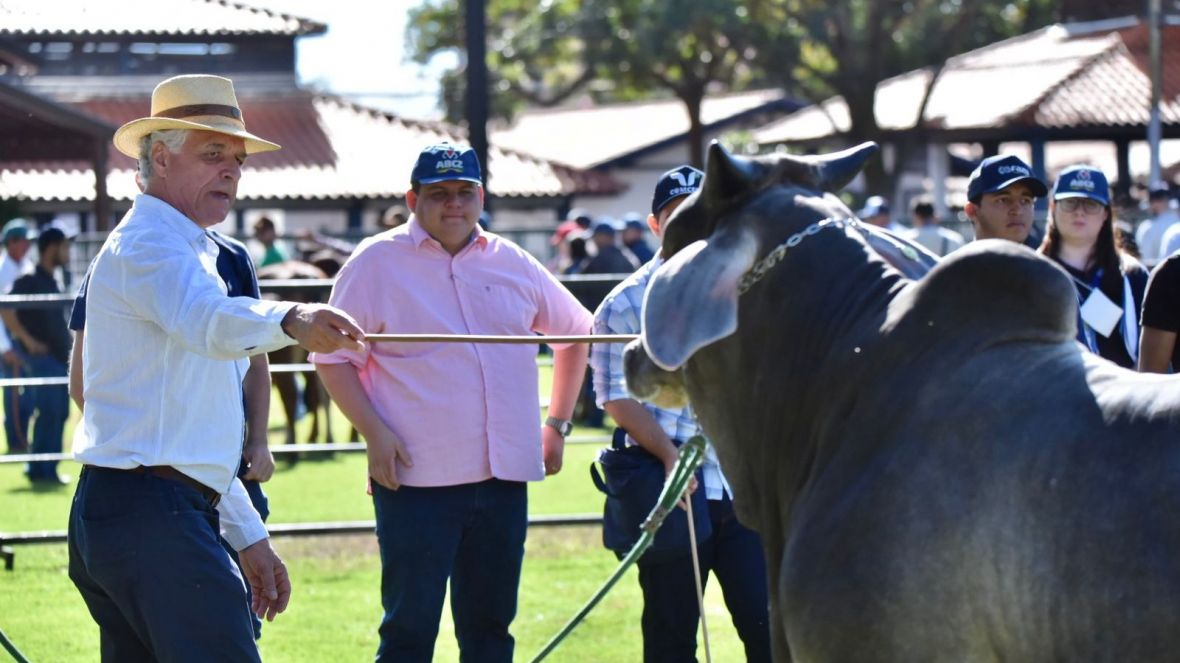 Inscrições para 76º Curso de Exterior e Julgamentos de Zebuínos estão esgotadas