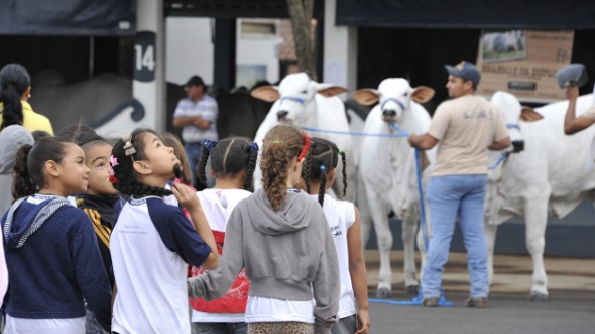 Museu dá início ao projeto Zebu na Escola e lança 2ª Revista Turma do Zebuzinho