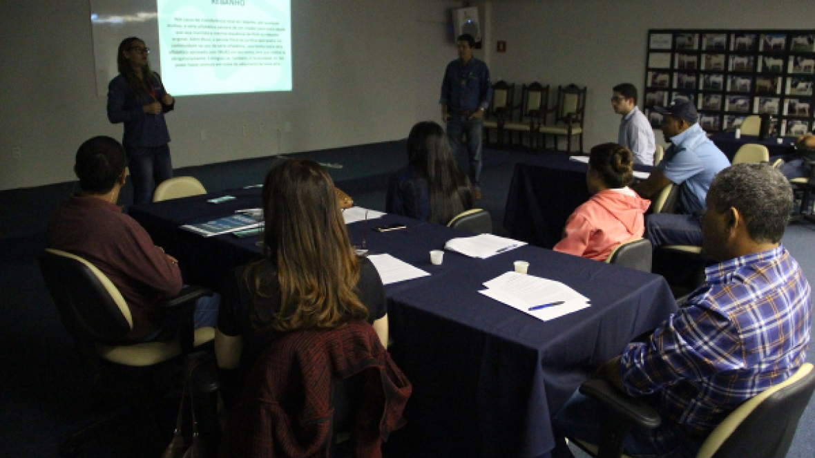 Curso de Escrituração Zootécnica reúne cerca de 10 participantes na ABCZ