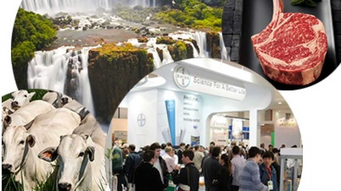 Diretores da ABCZ participam da BeefExpo 2015