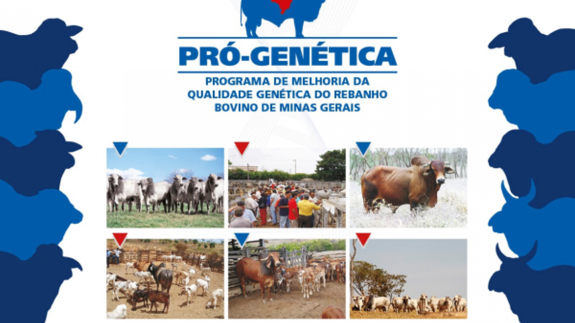 Marque na folhinha o Pró-Genética da sua cidade!