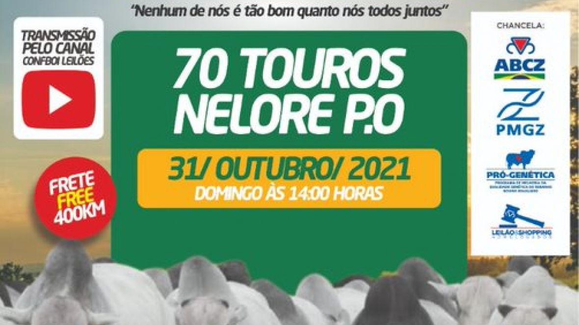 13º Leilão Elo do Norte - Edição Virtual é já neste domingo  