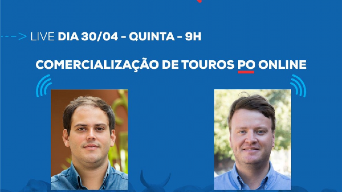 Venda online de touros PO é tema de próxima live da ABCZ