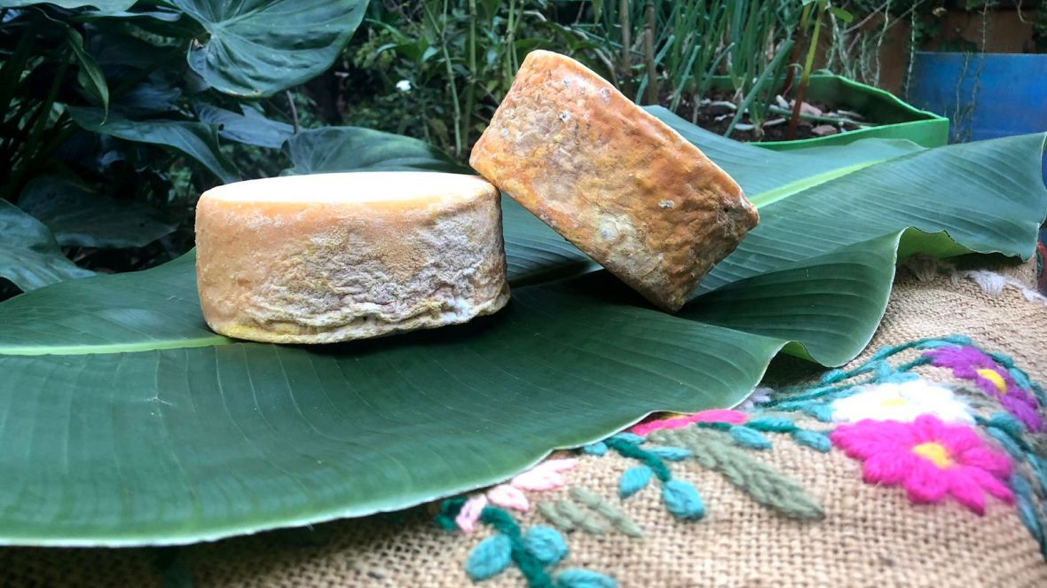 ABCZ participa de 3º Mundial do Queijo do Brasil