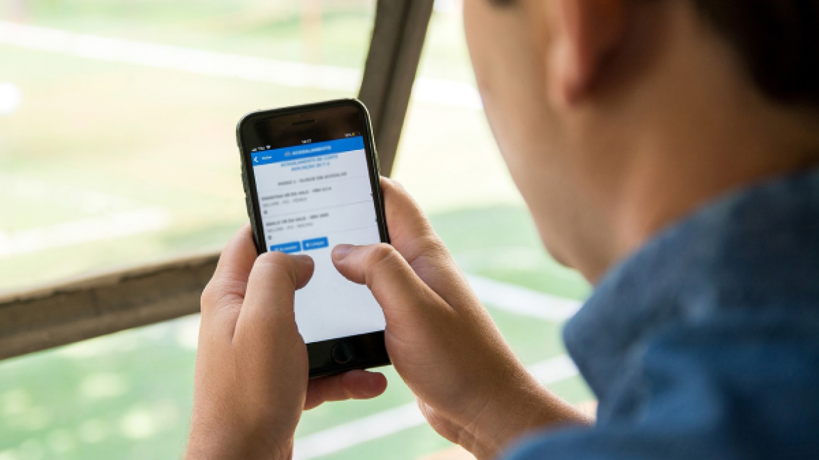 Pró-Genética Online oferta mais 500 zebuínos melhoradores