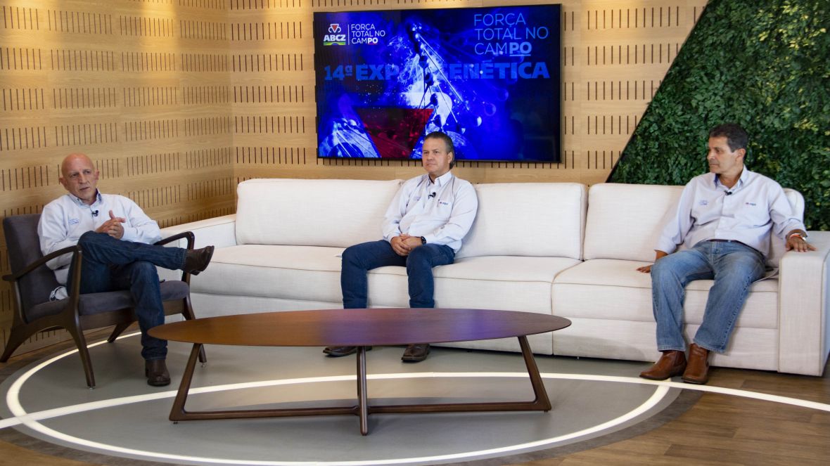 Confira os resultados do programa ‘Zebu: Carne de Qualidade’ 