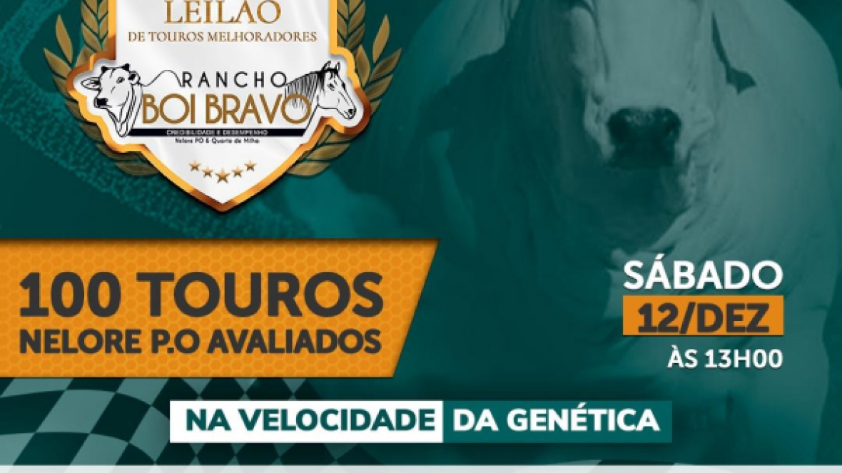 ?3º Leilão Virtual de Touros Melhoradores Rancho Boi Bravo? acontece no próximo sábado (12) 