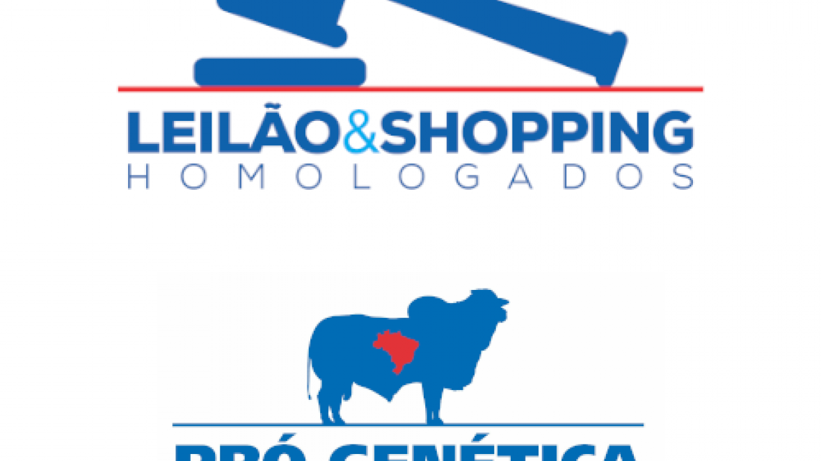 17º Leilão Martendal – Celeiro de Genética acaba de ser homologado pela ABCZ  