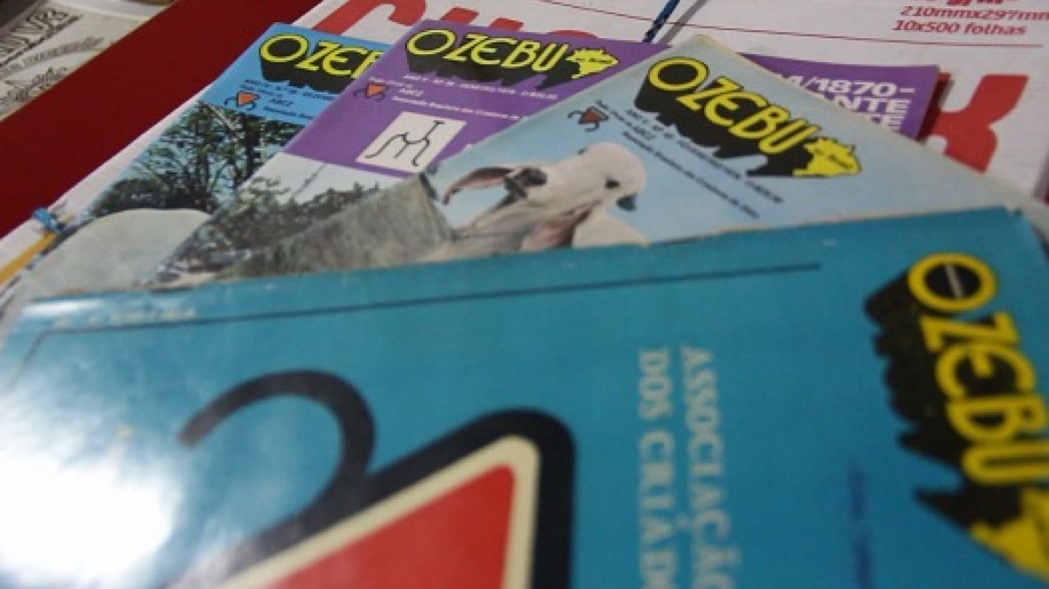Museu do Zebu recebe doação de acervo de revistas especializadas em agronegócio