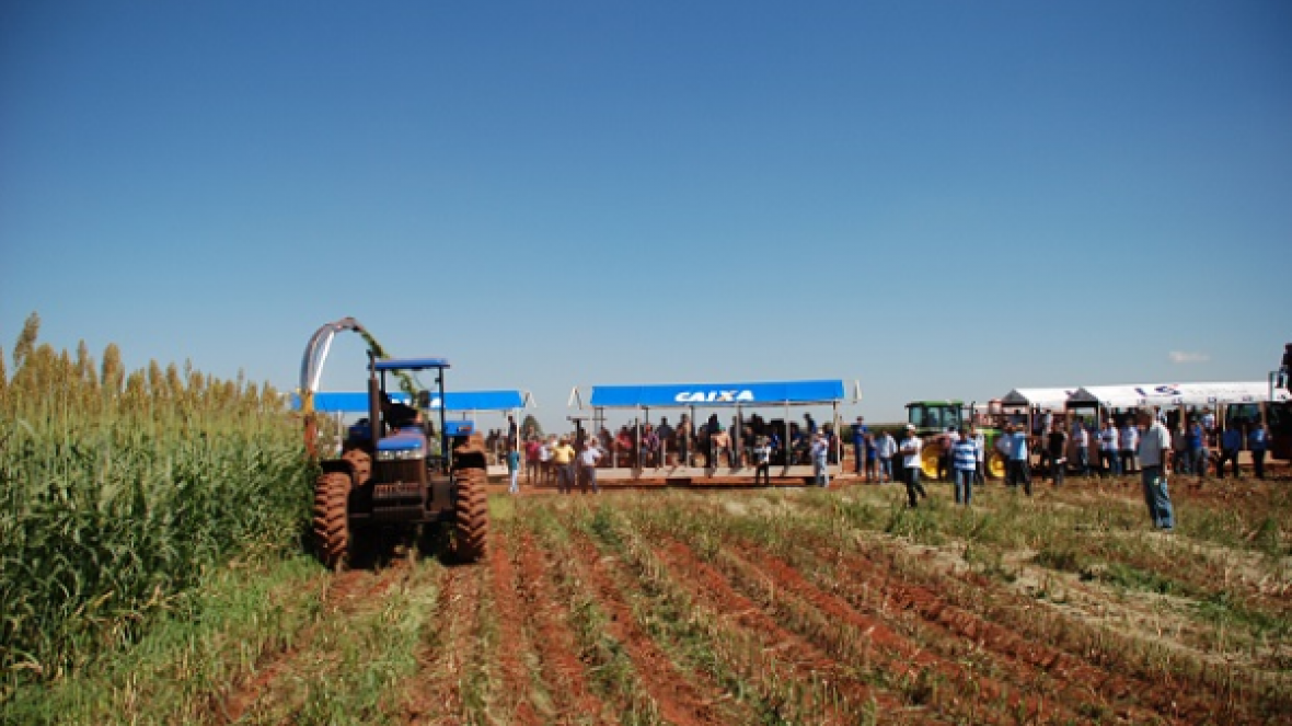 ExpoZebu Dinâmica terá programação de palestras técnicas