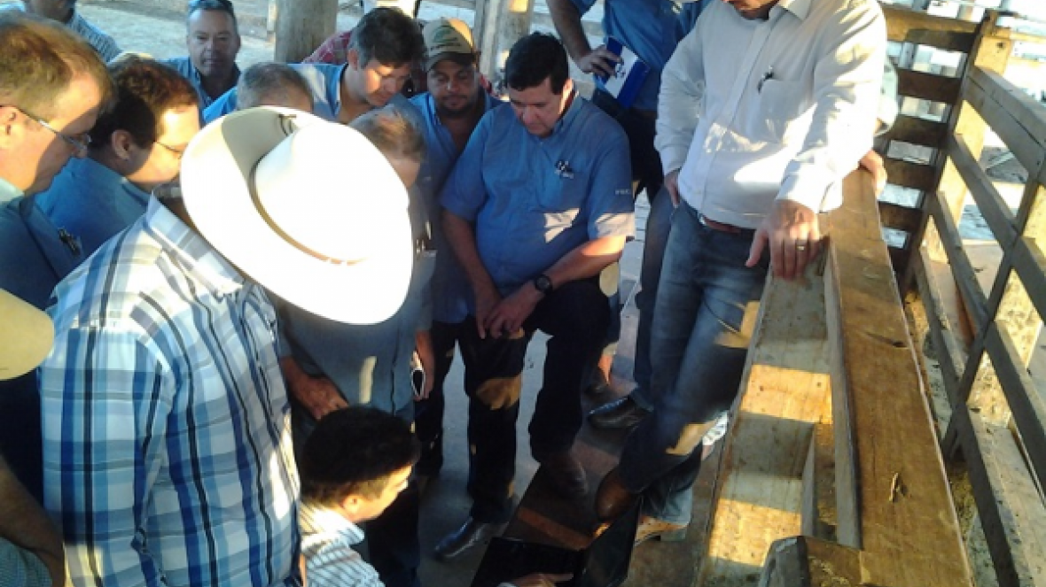 ABCZ segue crescendo, apesar da crise