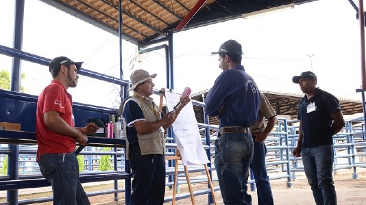 Associação de Brahman e SENAR Minas firmarão parceria na ExpoBrahman 2017
