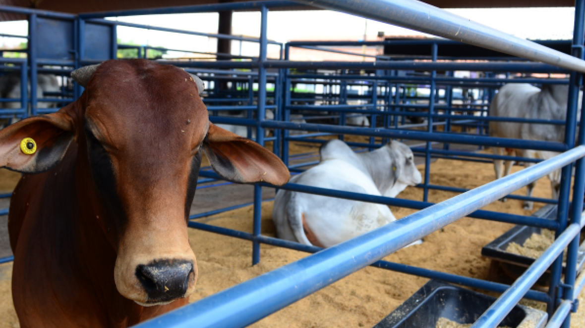 Último dia: inscrições para PNAT 2020 terminam nesta sexta-feira (3)