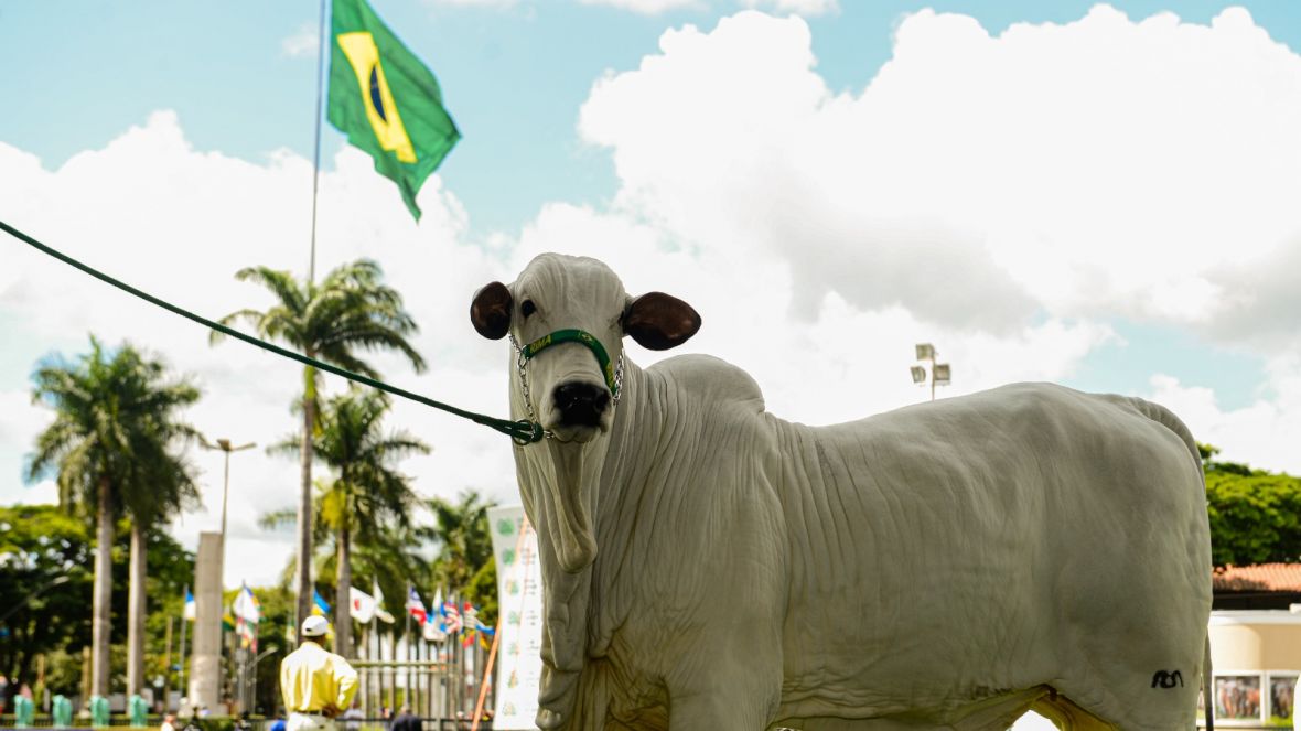 88ª ExpoZebu: Confira a programação para esta quinta-feira (4)