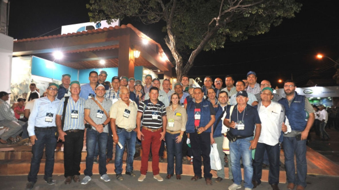 Brazilian Cattle recebe comitivas estrangeiras durante a Megaleite