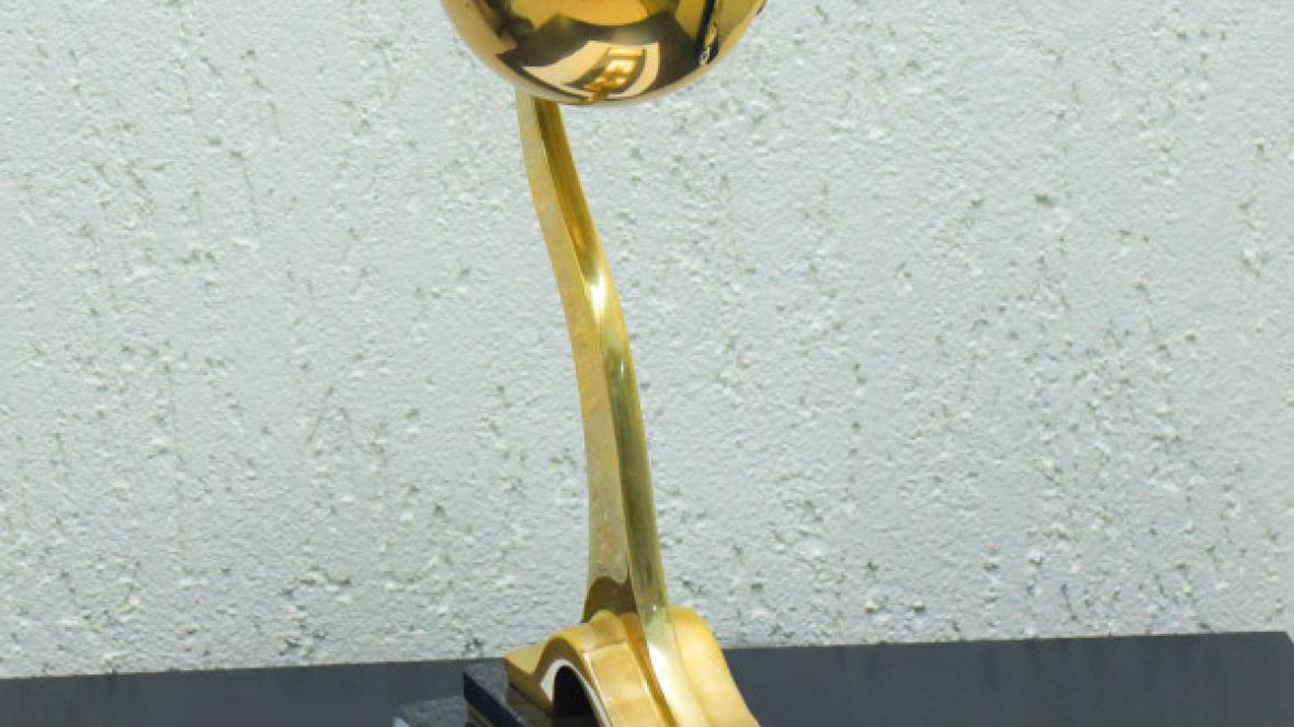 Arnaldo recebe Nelore de Ouro em SP