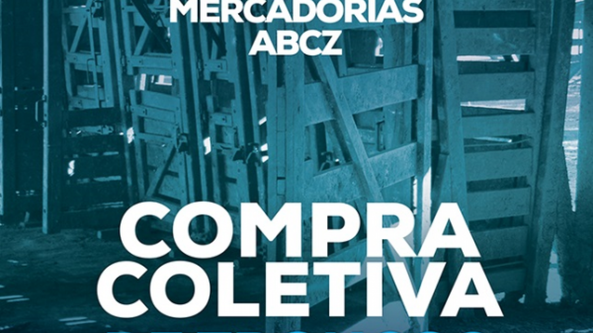 Pool de compras de troncos e balanças recebe 100 inscrições