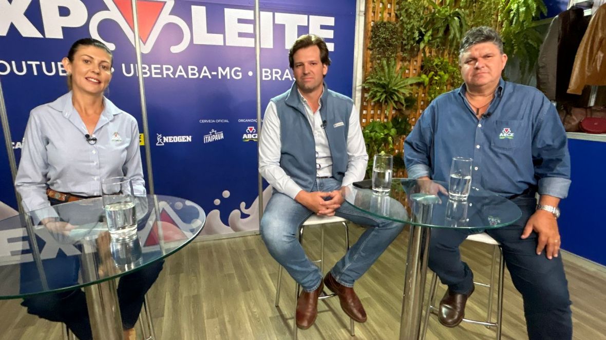 Durante live técnica, ABCZ lança ranking dos rebanhos participantes do PMGZ Leite Max, edição 2024