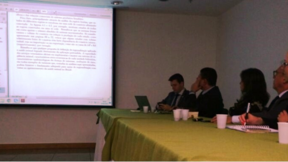 Estudo faz um raio x dos sistemas produtivos suscetíveis à aftosa 