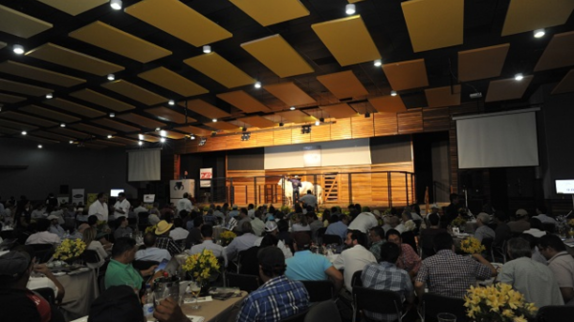 Leilões da ExpoZebu 2015 chegam a R$42,5 milhões