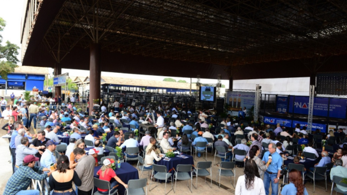 ABCZ divulga resultados do PNAT 2019 