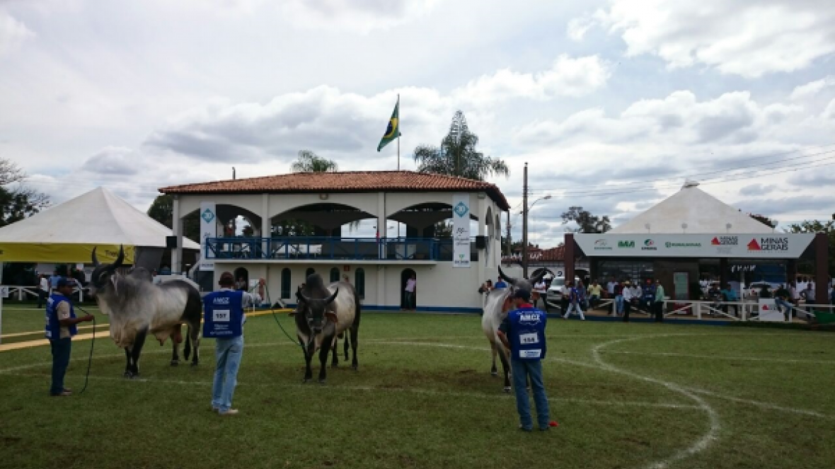 Nacional de Guzerá acontece em Curvelo