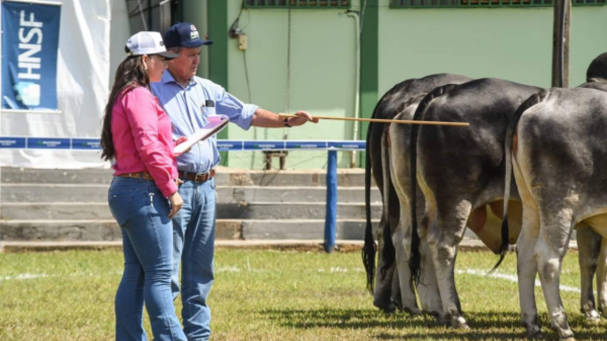 ABCZ participa da 13ª Expo-Nacional da Raça Guzerá