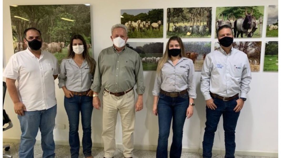Equipe da Genex visita touros participantes do PNAT 2021