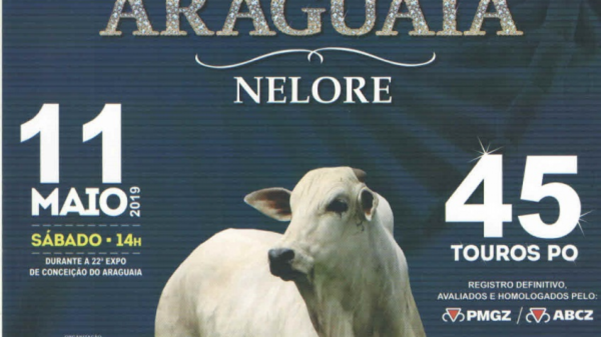 ?10º Leilão Joias do Araguaia? vai oferecer 45 touros Nelore