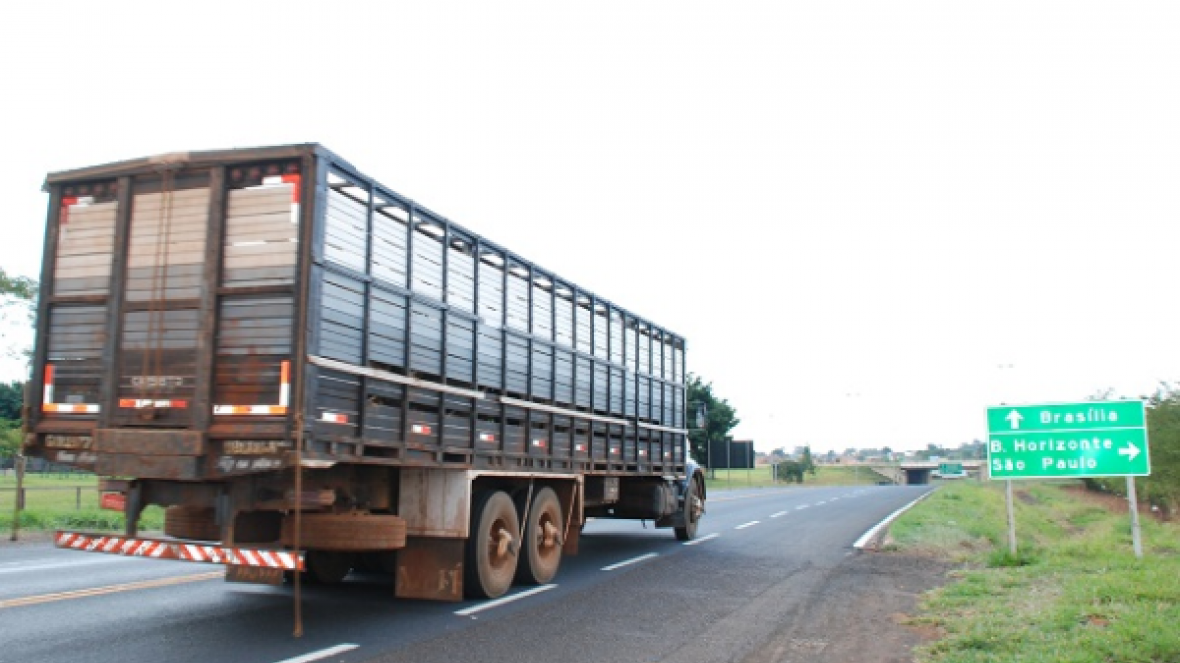  Guia eletrônica será obrigatória para transporte interestadual	 