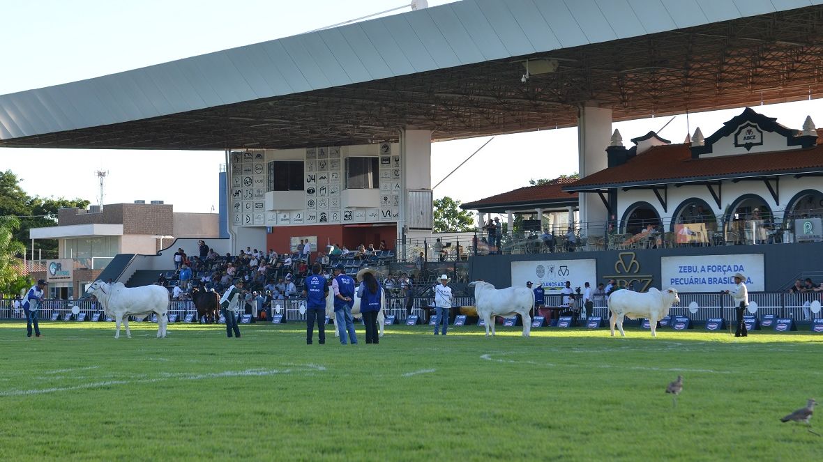 Jurados da ExpoZebu 2022 serão anunciados nesta sexta-feira (08)