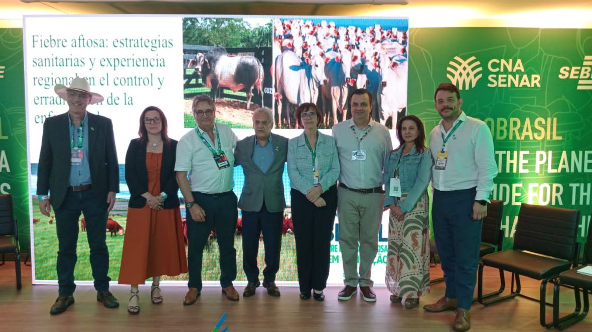 ABCZ destaca protagonismo da pecuária sustentável na COP 30, em Belém (PA)