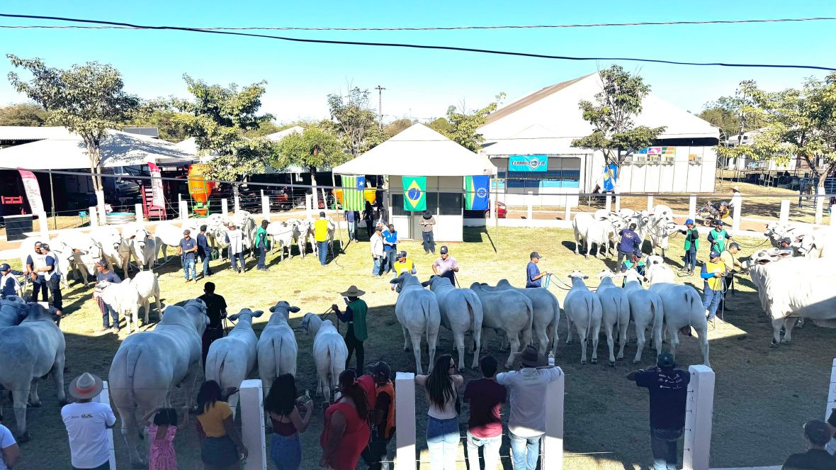 ABCZ marca presença na 48ª Expocorrente