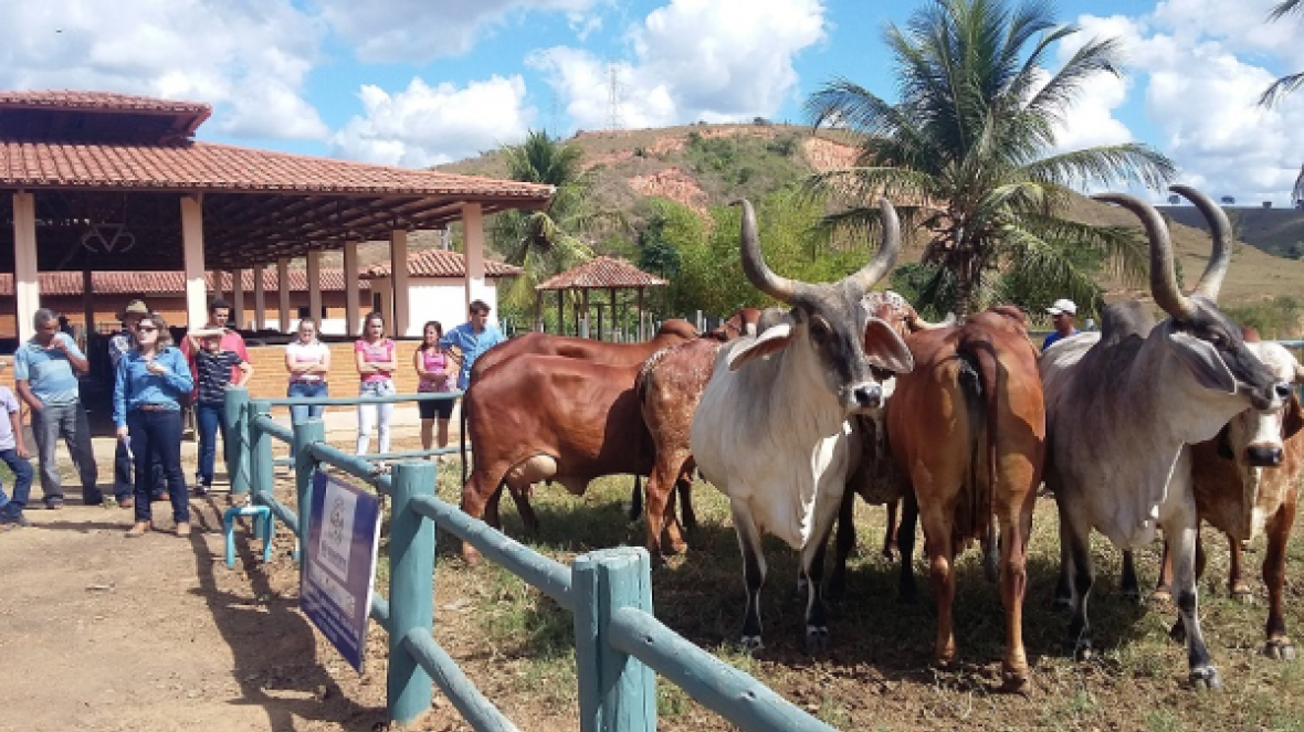 PMGZ Leite é apresentado em Dia de Campo no ES