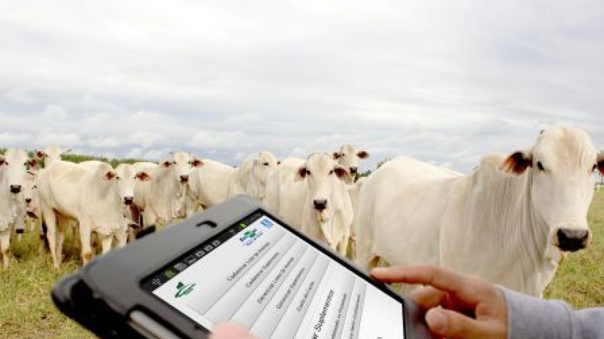 Tecnologia da Informação é usada em softwares para Agronegócio