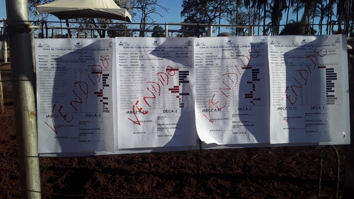 Feira do Pró-Genética movimenta a economia de Carneirinho, em Minas Gerais.