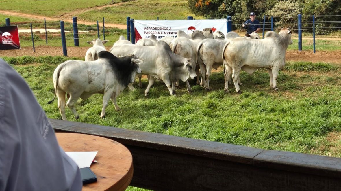 ABCZ participa do encerramento da 3ª Prova de Eficiência Alimentar da Confraria da Carcaça Nelore 