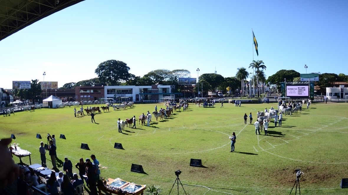 ExpoZebu: Prazo para inscrições com desconto termina amanhã (08)