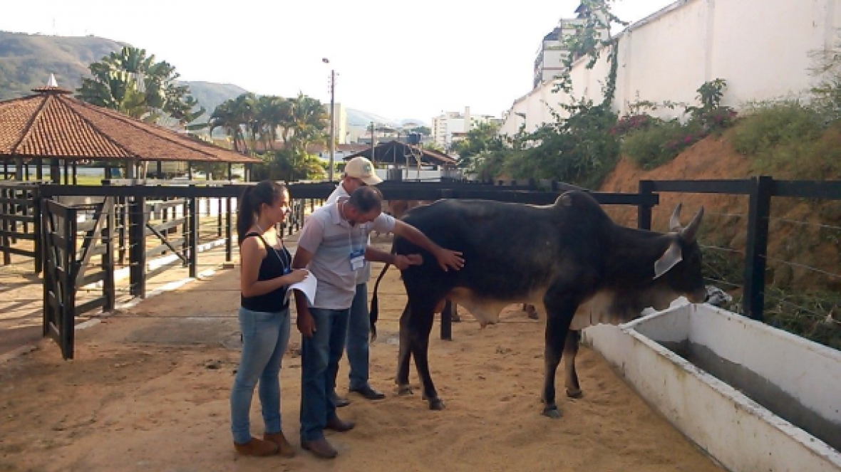 ABCZ apresenta Pró-Genética em assembleia da ASBRAER