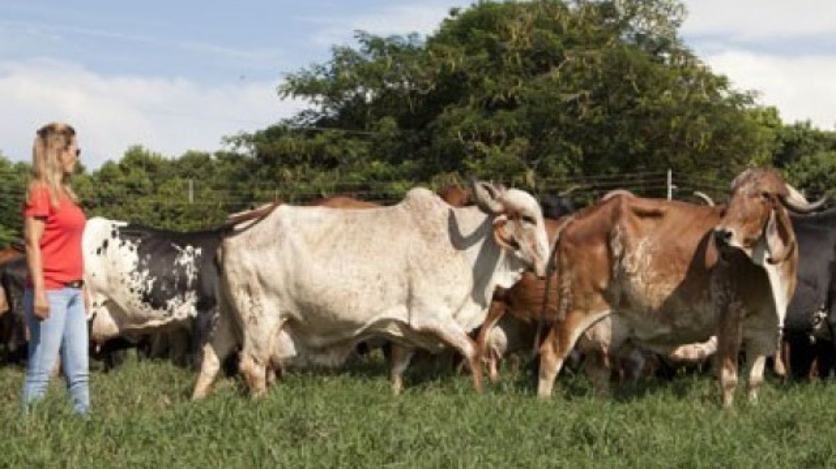 ABCZ lamenta morte de Maria Stela Barretto de Figueiredo Santos