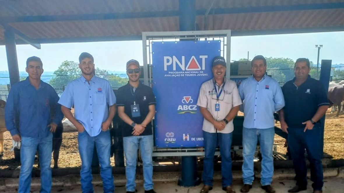 De olho nos novos talentos do melhoramento genético: equipe da Central ABS visita touros jovens do PNAT 2023