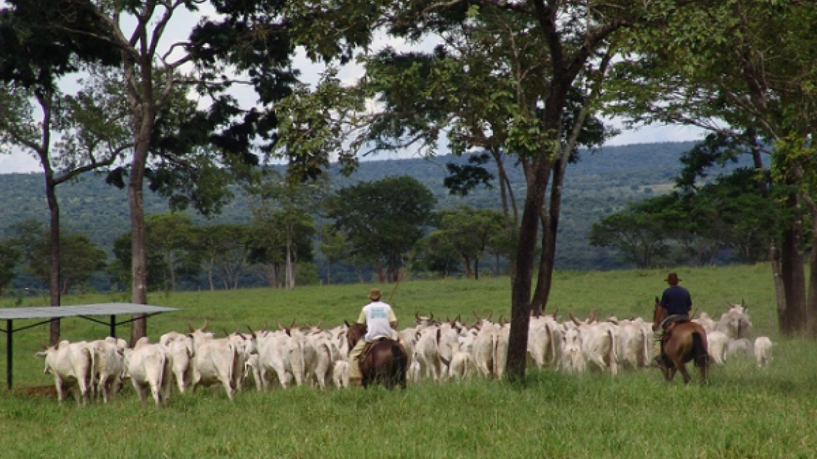 Inconstitucionalidade da Contribuição ao Funrural será julgada pelo STF