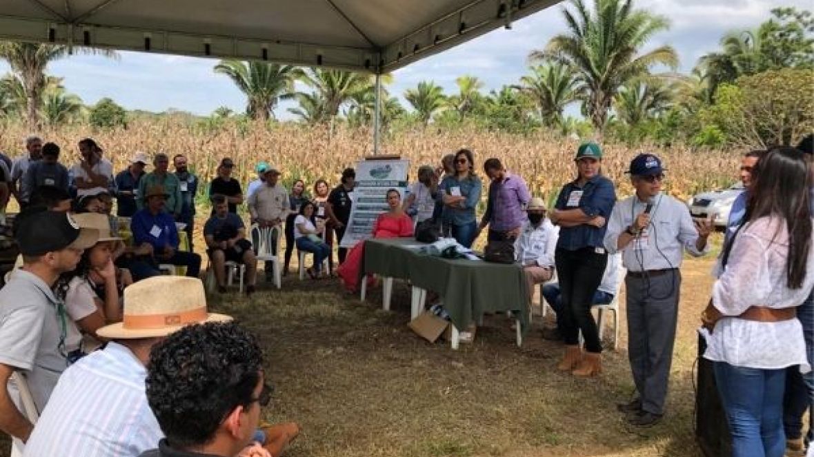 Dias de Campo do Integra Zebu são realizados no Tocantins