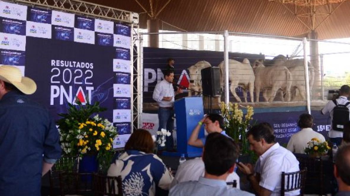 Com número recorde de lotes, Leilão PNAT acontece nesta sexta (26)