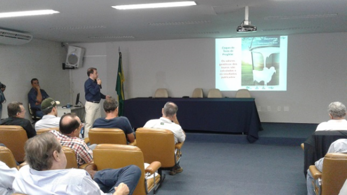 Sumário de Touros Gir Leiteiro divulga pela primeira vez touros provados para A2