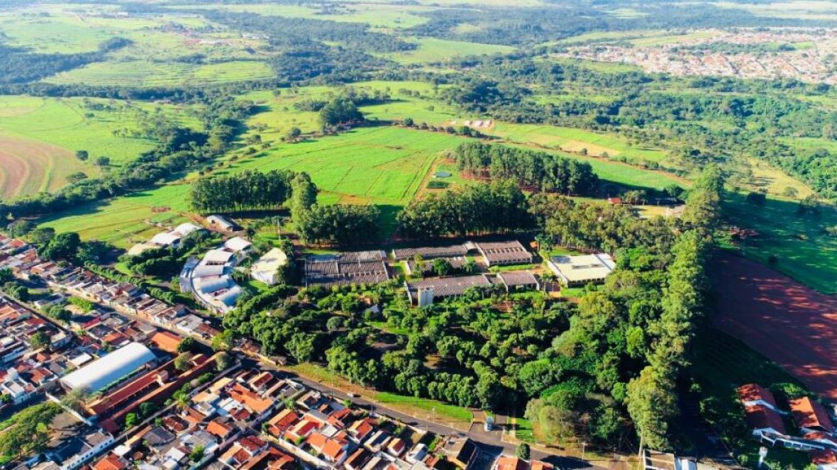 FAZU, a Harvard brasileira!