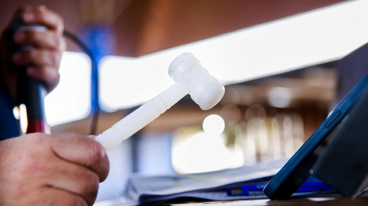 Leilões da 17ª ExpoGenética já movimentaram mais de R$ 72 milhões