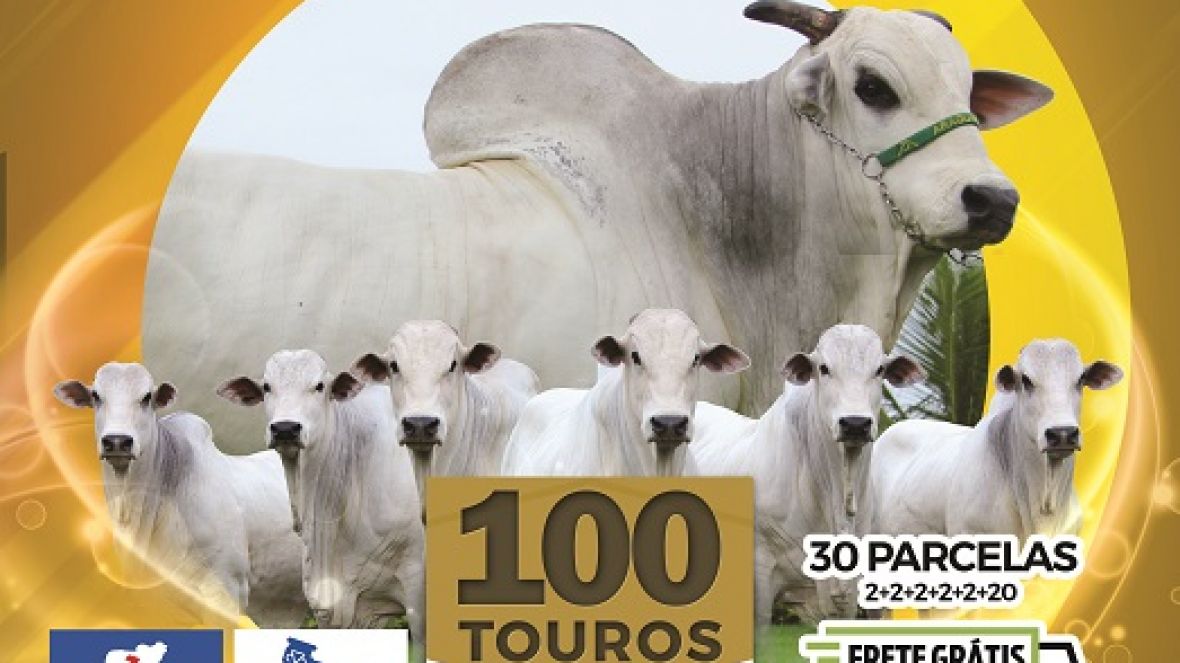 PMGZ e Pró-Genética chancelam ?Leilão Virtual Touros Araguarina Agropastoril?