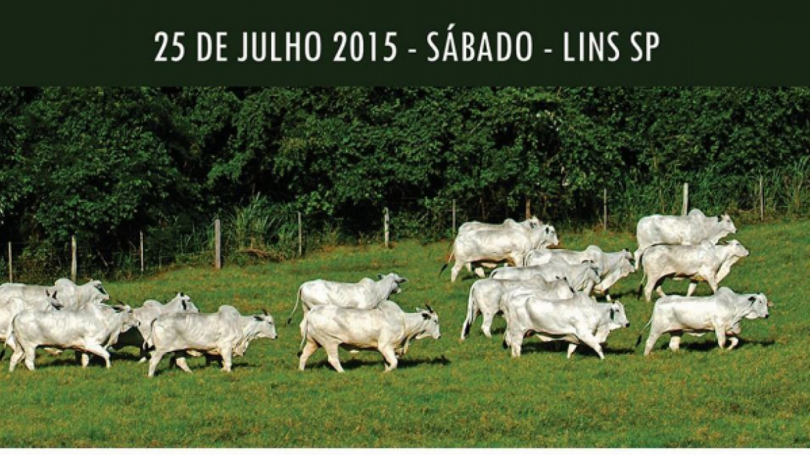 Dia de Campo em SP destacará animais avaliados pelo PMGZ